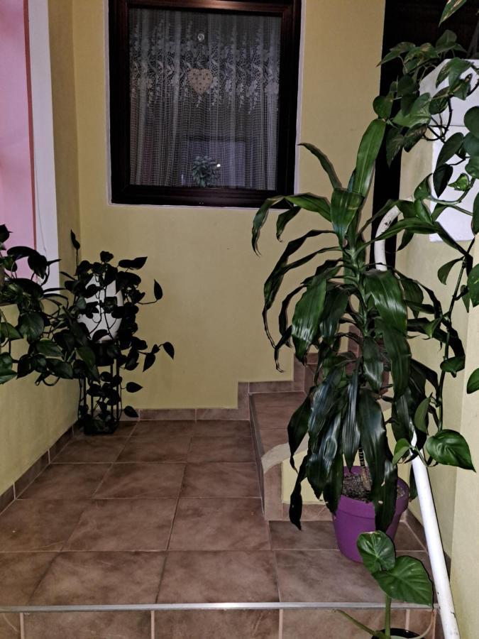 Отель La Bibicu Agnita Экстерьер фото